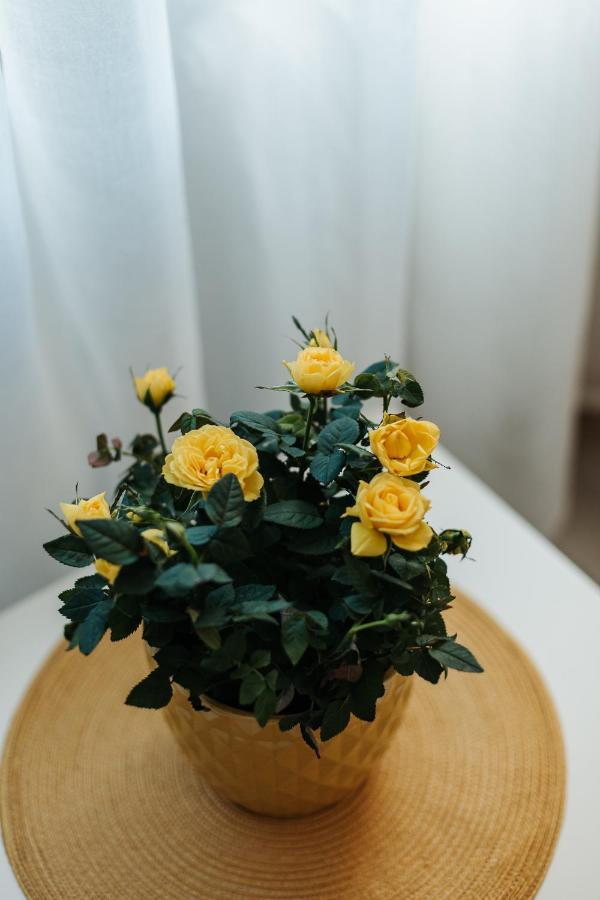 קרקוב Charming Apt Old Town & Jewish District, Quiet Neighborhood מראה חיצוני תמונה